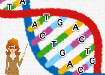 子供の能力を知れる遺伝子検査